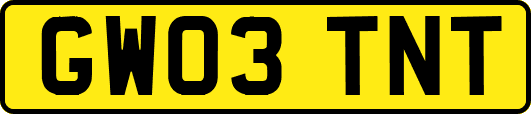 GW03TNT
