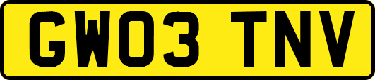 GW03TNV