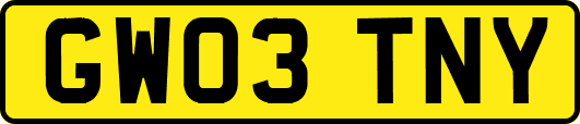 GW03TNY