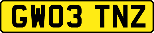 GW03TNZ