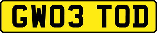 GW03TOD