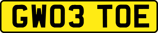 GW03TOE