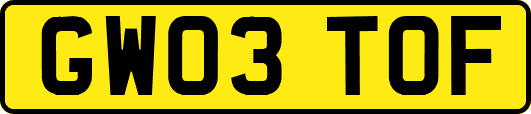 GW03TOF