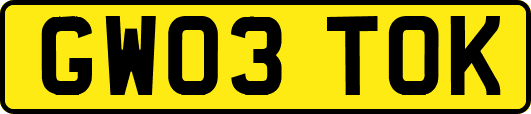 GW03TOK