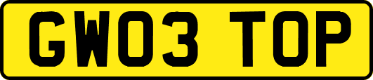 GW03TOP