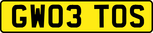 GW03TOS