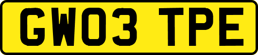 GW03TPE
