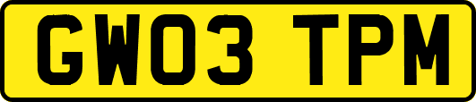GW03TPM