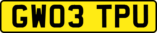 GW03TPU