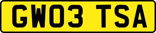 GW03TSA