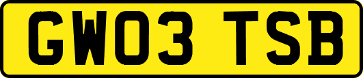 GW03TSB