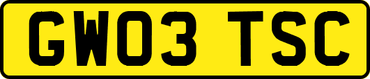 GW03TSC