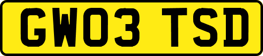 GW03TSD
