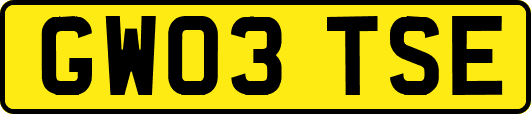 GW03TSE
