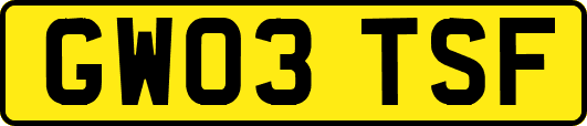 GW03TSF