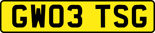 GW03TSG