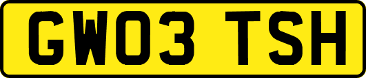 GW03TSH