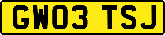GW03TSJ