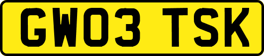GW03TSK