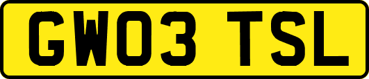 GW03TSL