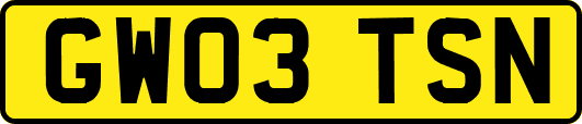 GW03TSN