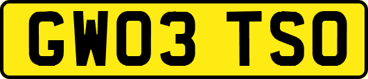 GW03TSO