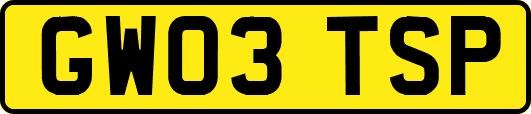 GW03TSP