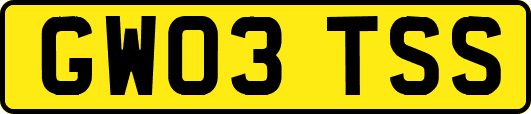 GW03TSS