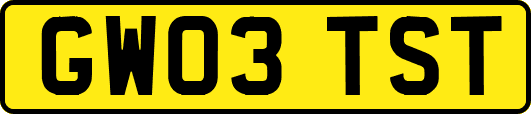 GW03TST