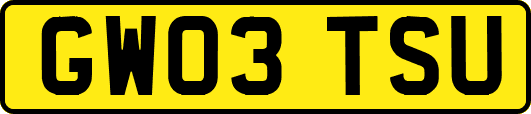 GW03TSU