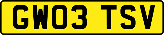 GW03TSV