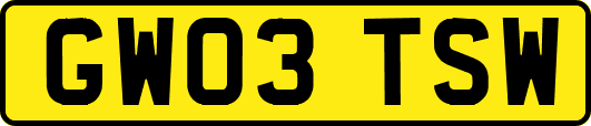 GW03TSW
