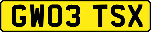 GW03TSX
