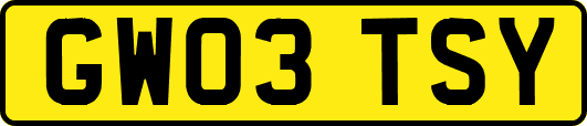 GW03TSY