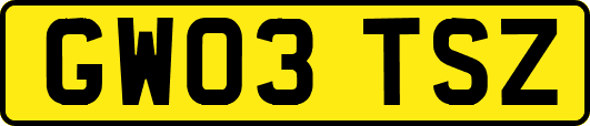 GW03TSZ