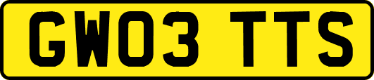 GW03TTS