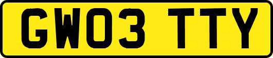 GW03TTY