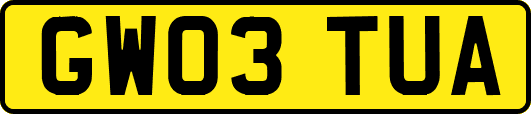 GW03TUA