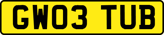 GW03TUB