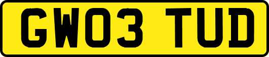 GW03TUD