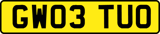 GW03TUO