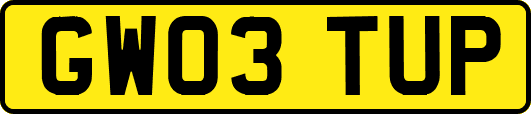 GW03TUP