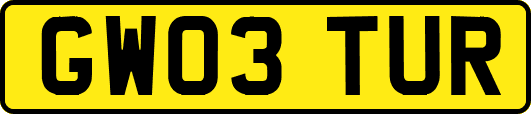 GW03TUR