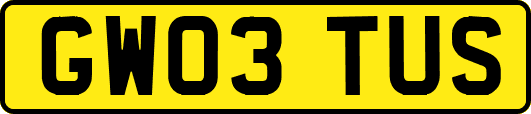 GW03TUS