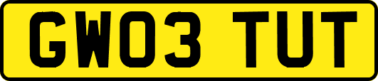 GW03TUT