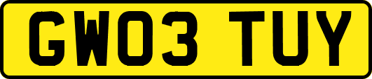 GW03TUY