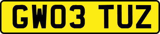 GW03TUZ