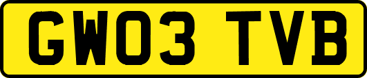 GW03TVB
