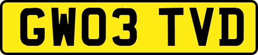 GW03TVD