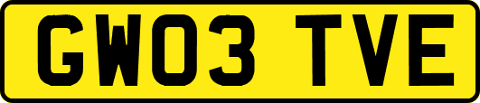 GW03TVE